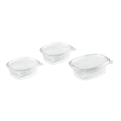Salad Containers