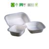 Bio degradable, Compostable, Recyclable trays for packaging food industry