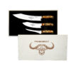 Spicy Orange Knife Set Giesser