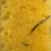 Rosemary Garlic Marinade Caffreys 2