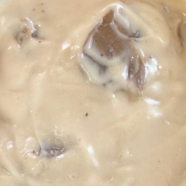 Mushroom Sauce closeup